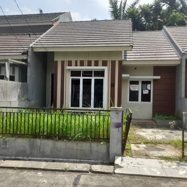 WhatsApp Image 2025-08-28 at 10.49.03